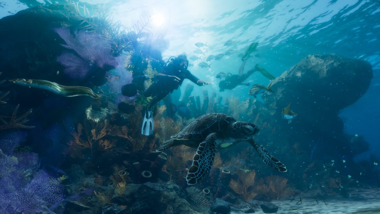 Divers over a coral reef in clear blue water, a sea turtle swimming toward the camera past sponges, sea fans and a moray eel.